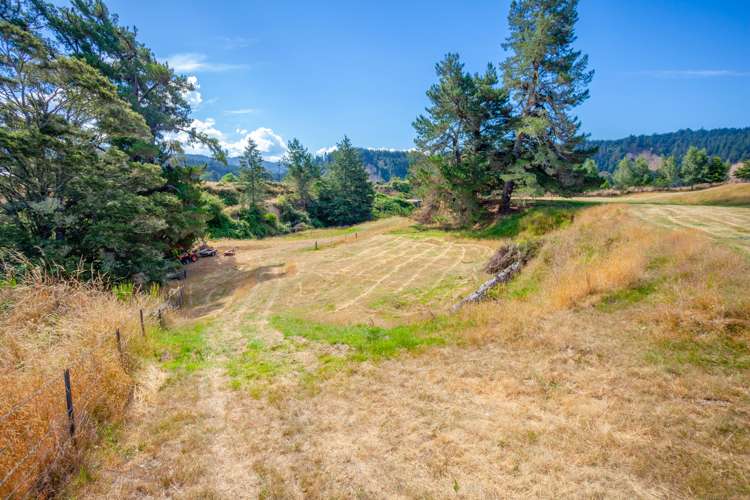 1379 Tadmor-Glenhope Road Tapawera_15