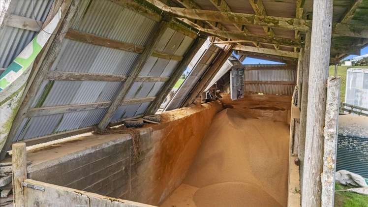 1535 Taumatamaire Road Awakino_10