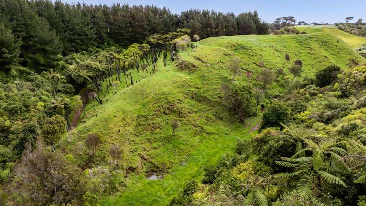 53 Muggeridge Road Manutahi_45