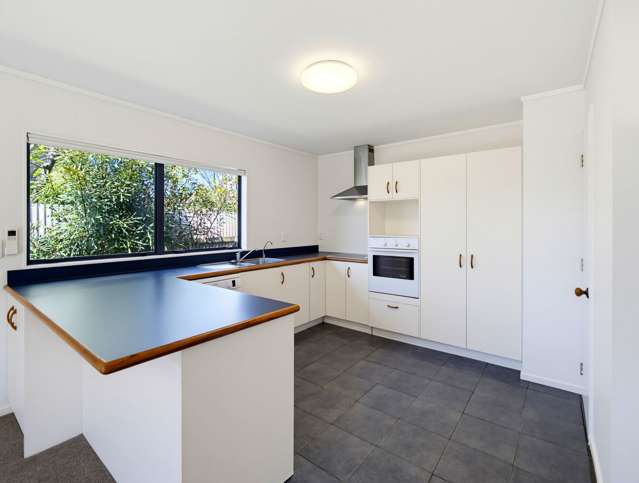 710 Seddon Street Raureka_2