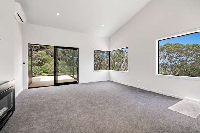 13 Ti Tree Lane Stanmore Bay_2