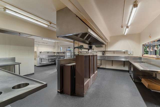 20 Alma Street Hamilton Central_1