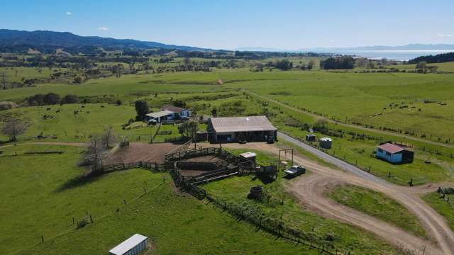 591D East Coast Road Kaiaua_1