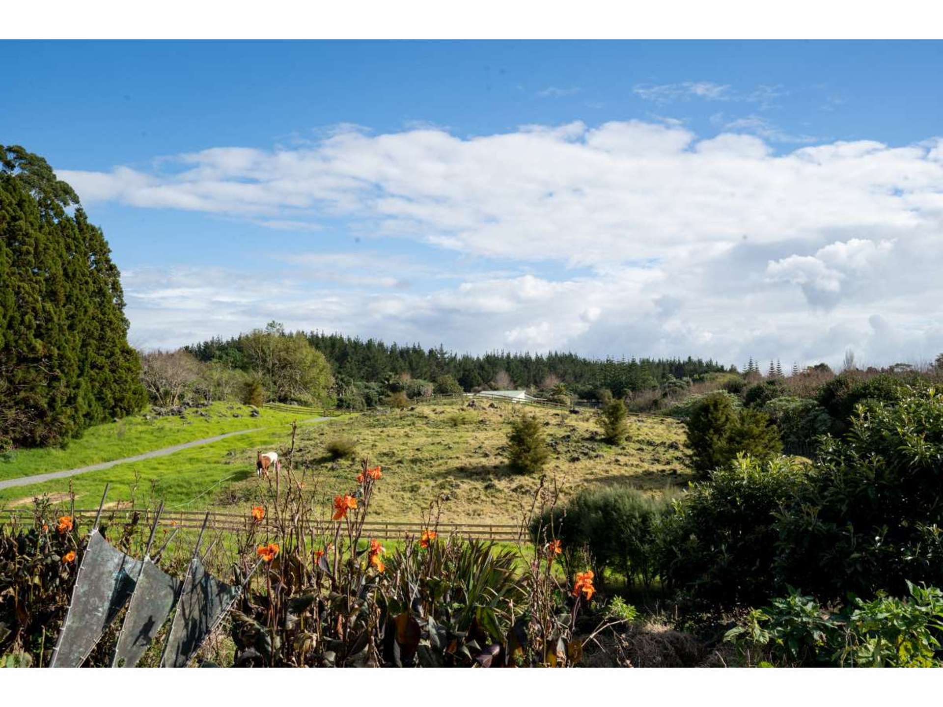 2/803 Kerikeri Inlet Road Kerikeri Far North Houses for Sale