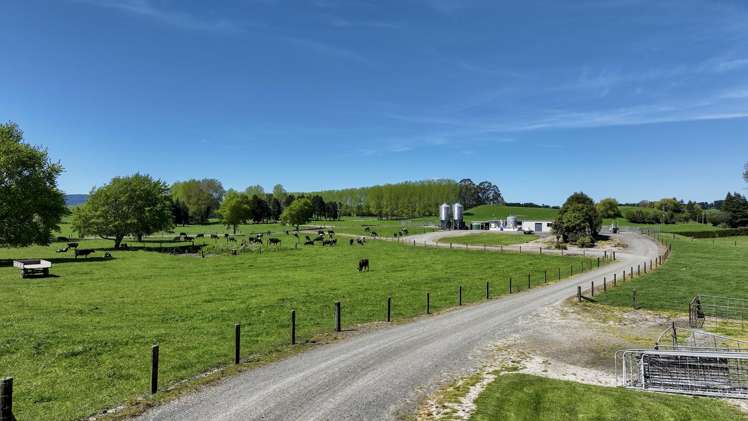 441 State Highway 38 Rerewhakaaitu_15