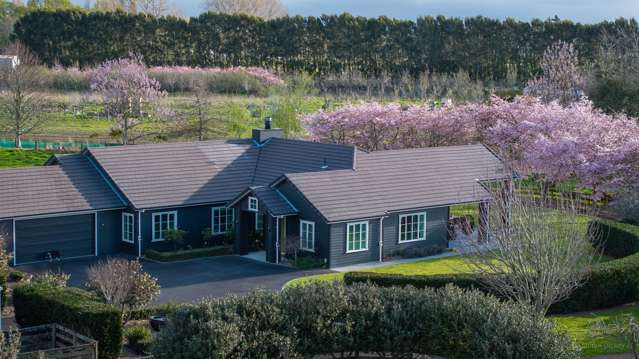 67d Davison Road Newstead_3