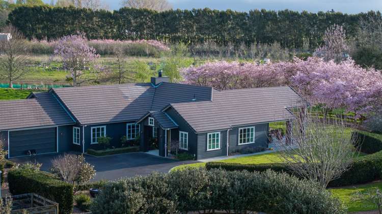 67d Davison Road Newstead_3