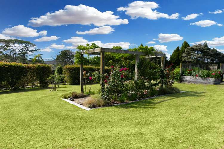 328 Horseshoe Bush Road Dairy Flat_22