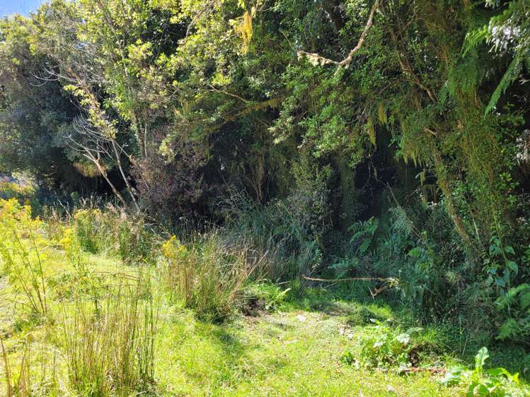 254 Doughboy Road Kokatahi_58