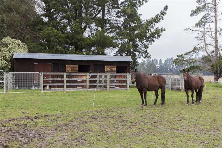 150 Amberley Beach Road Amberley_16