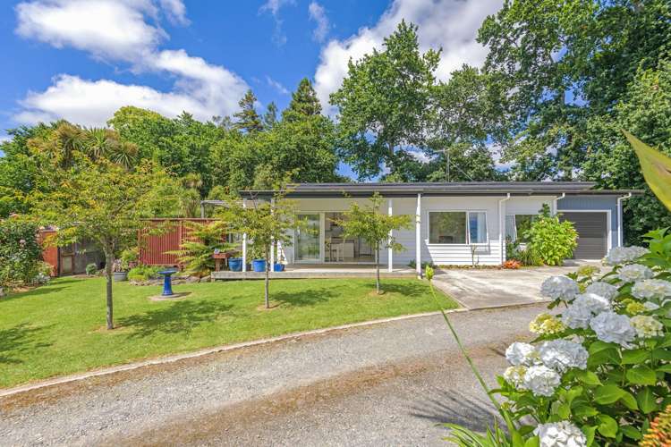 10A Shelton Place Marton_17