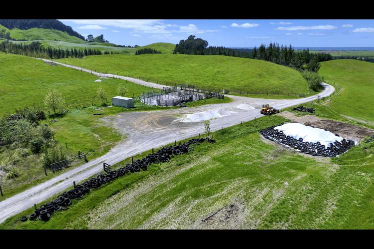 Korako Road Taupo_23