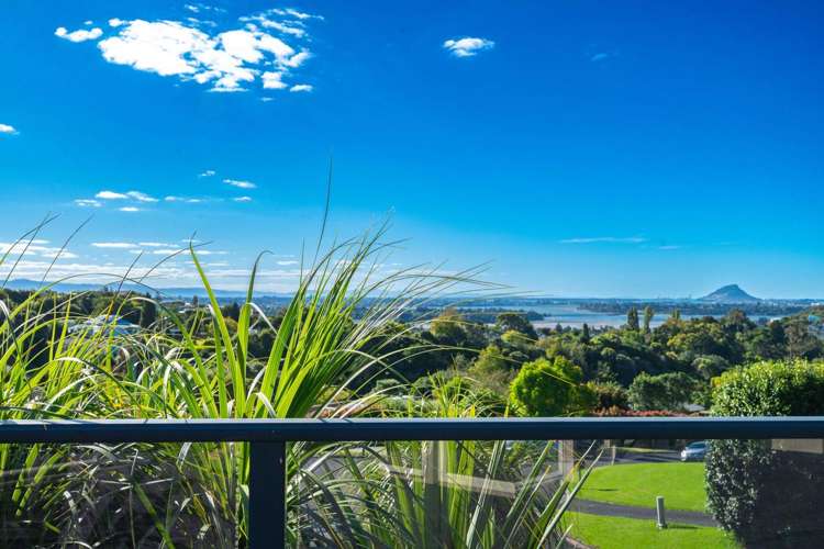 14 Estates Terrace_0