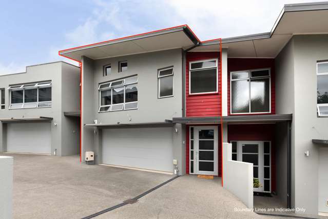 21e Ruakiwi Road Hamilton Lake_1