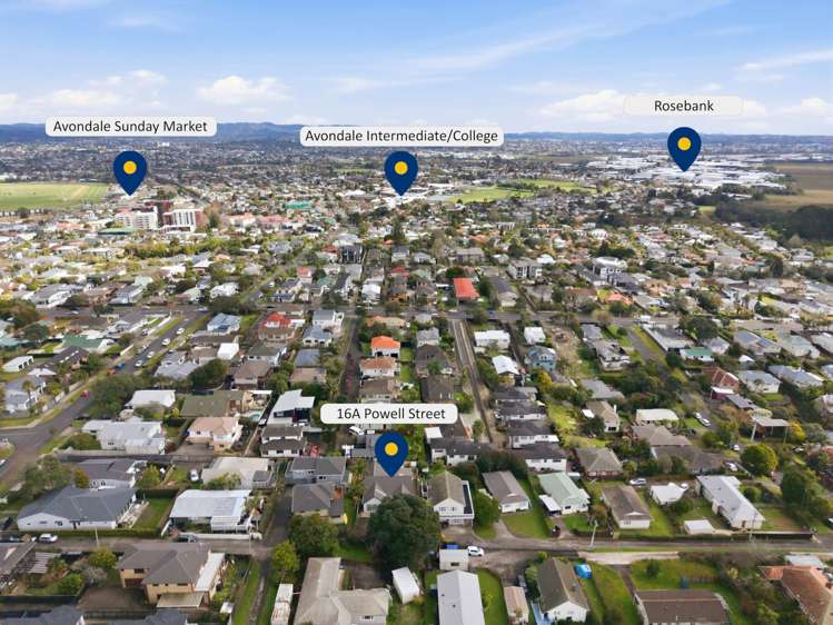 16A Powell Street Avondale_23