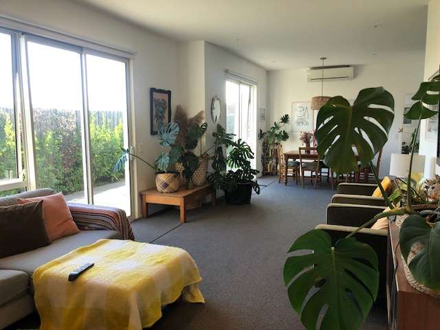 15 Radisich Place Mount Maunganui_1