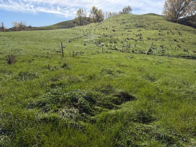 235 Te Ore Ore-Bideford Road Masterton_3