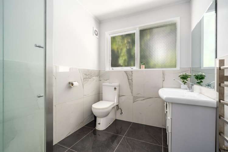 12A Silverbirch Grove Churton Park_12