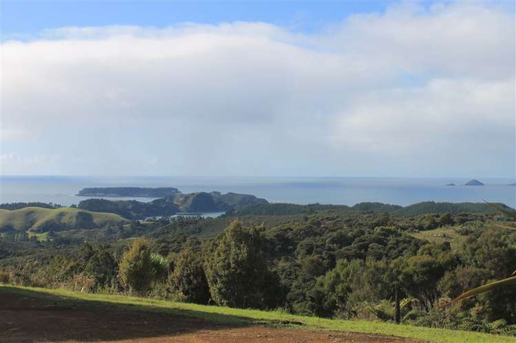 Wainui Road Whangaroa_9