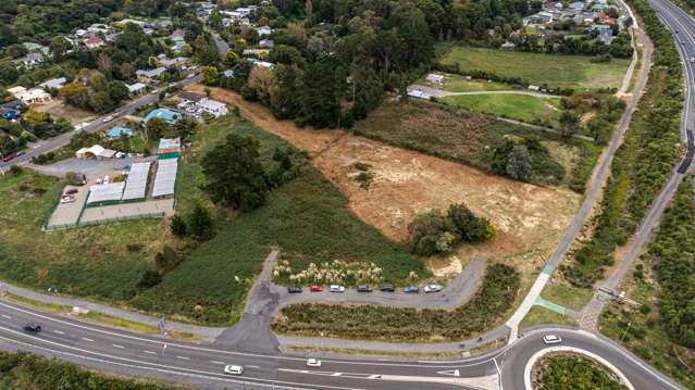 16 Leinster Ave and 153 Poplar Ave Raumati South_1