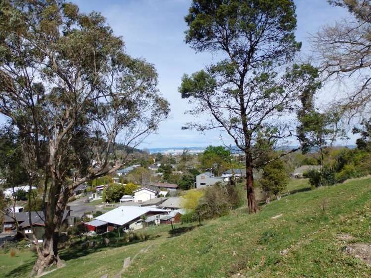 31 Richardson Avenue Whataupoko_7
