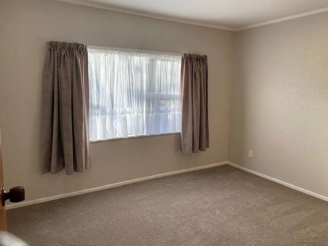 1 Cardrona Way Karori_4