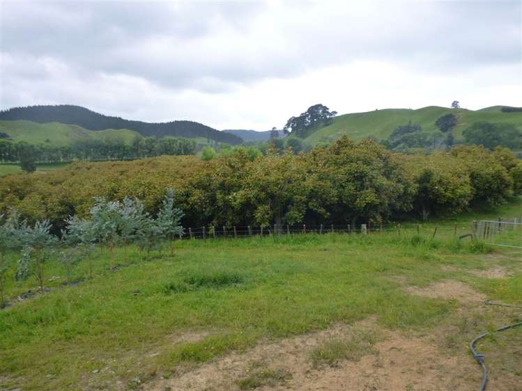 336 Wentworth Valley Road Whangamata_21