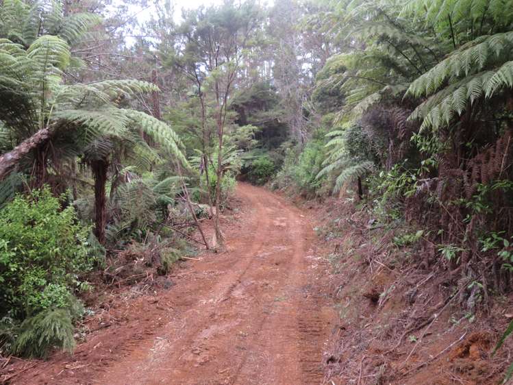 Lot 2 Goshen Valley Road Mangonui_13