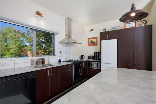 238a Mt Fyffe Road Kaikoura_2