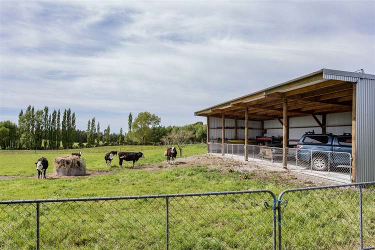 119 Forestry Road Ashley_19