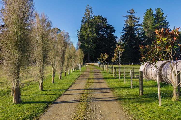 124 Waihao Back Road Waimate_19