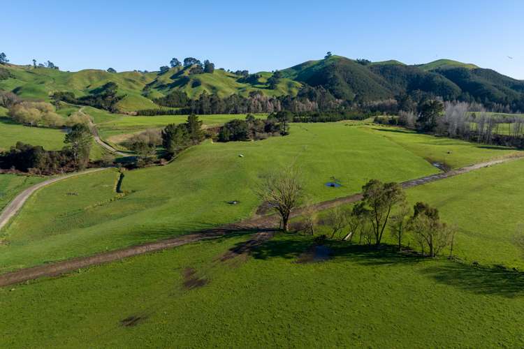 1038 Te Kopia Road Waikite Valley_13