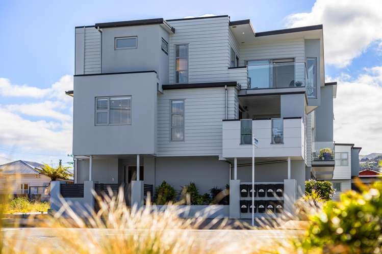 1 Lucern Lane Petone_23