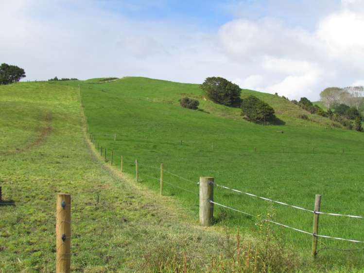 162 Roberts West Road Arapohue_12