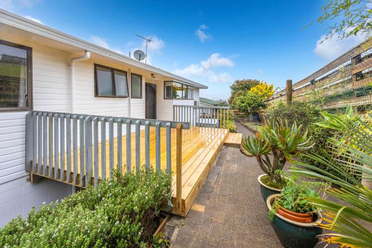 2/323 Taylor Avenue Te Awamutu_15
