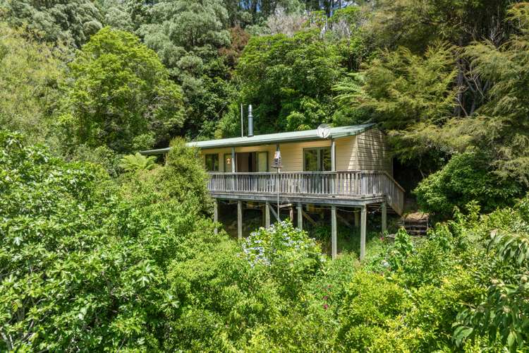 1160 Wakamarina Road Havelock_0