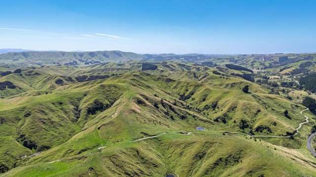 Summer safe sheep and beef proposition