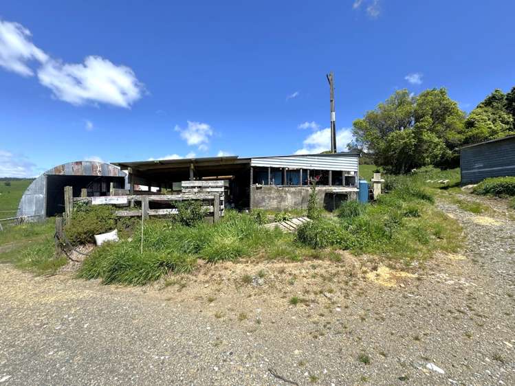 3/585 O'Shea Road Pirongia_24