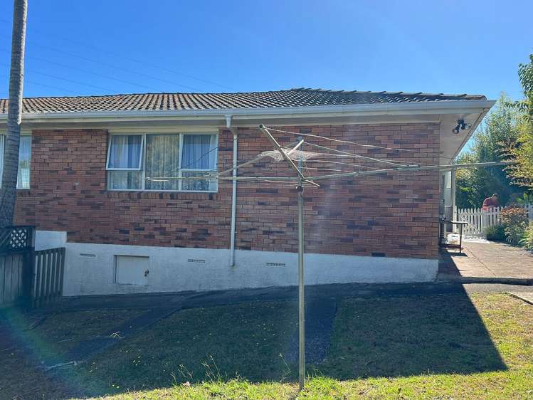 2/2 Olsen Avenue Hillsborough_19