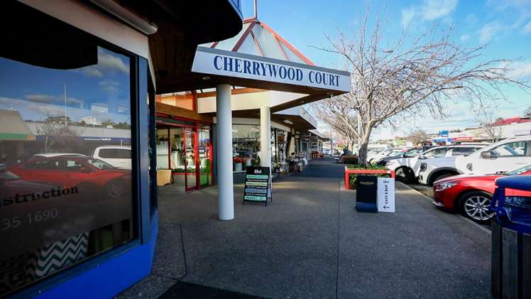 13a Tupaea Place Otumoetai_23