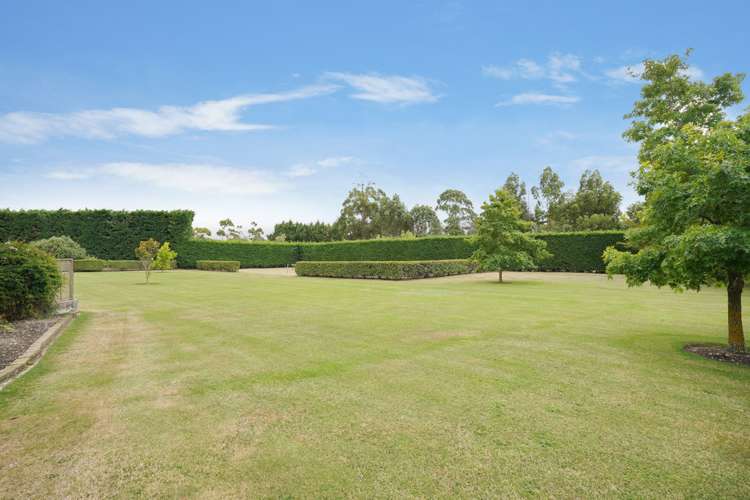 81 Mount Thomas Road Fernside_13