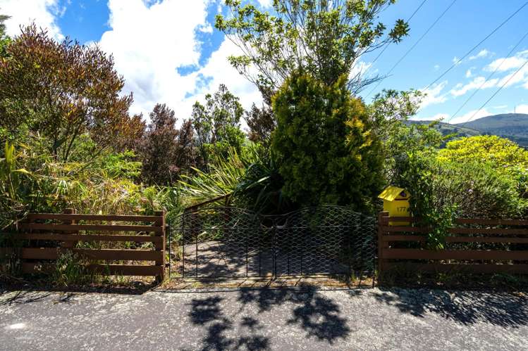 177 Evans Street Opoho_20