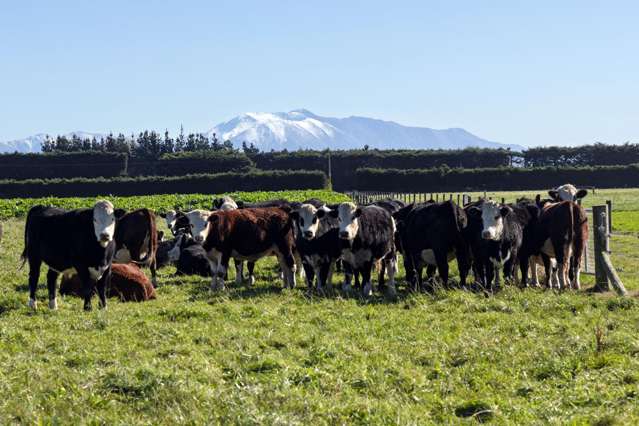 149 Coplands Road Ashburton_1