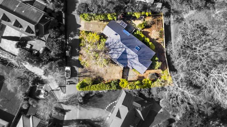 1282b Fergusson Drive Brown Owl_24