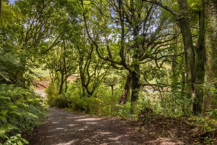 166b Heard Road Waihi_15