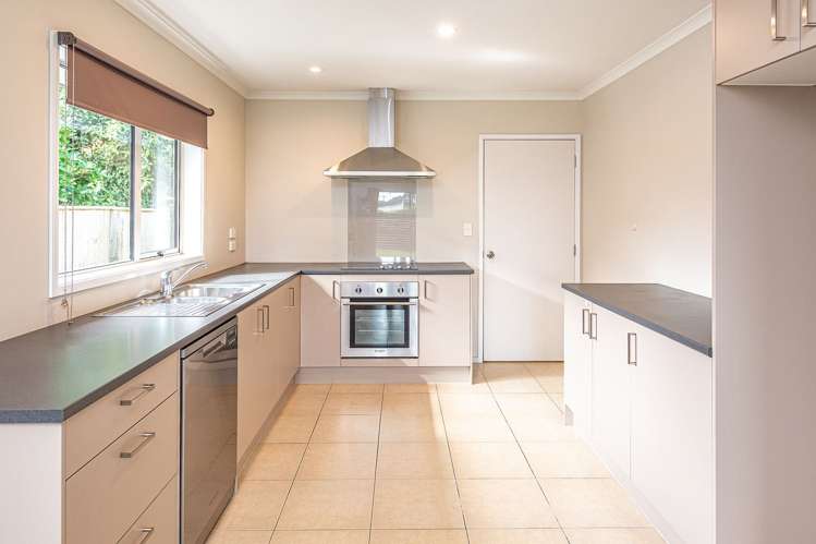 3 Plunket Street Durie Hill_2