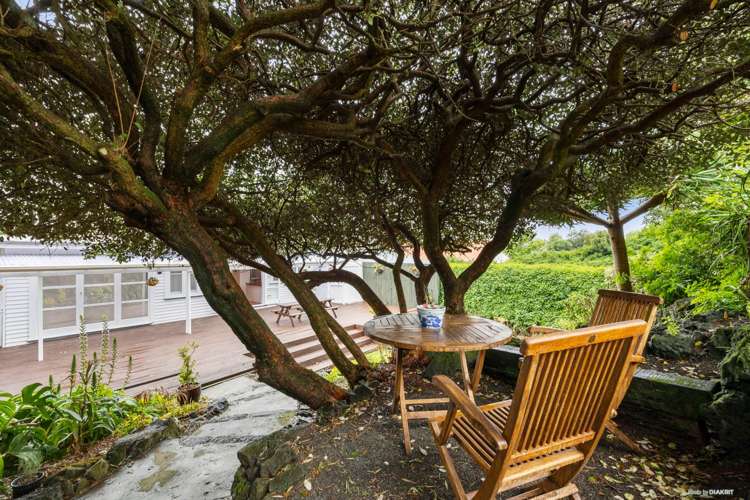 87 Calgary Street Mount Eden_8