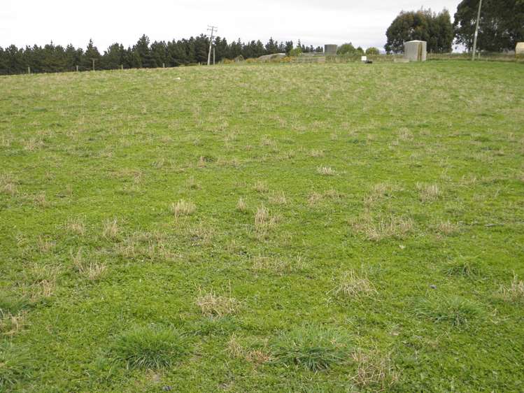 84 Fortification Road Kakanui_10