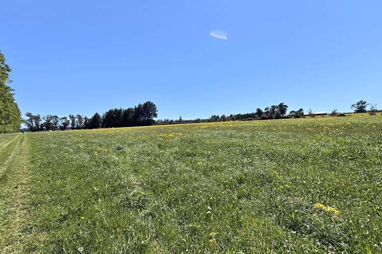 732 Rangiora Leithfield Road Leithfield_7