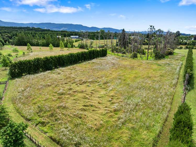 30B Thompsons Track Aongatete_9